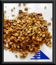 Brot-Gew�rz GROB